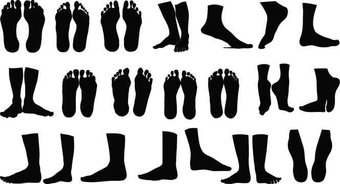 Set of black vector silhouettes featuring a fashion collection of elegant women shoes including high heels and boots for footwear design and clothing style illustrations