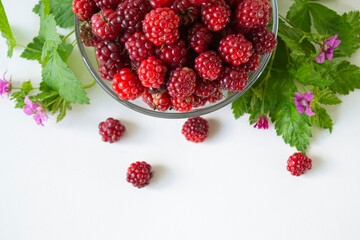 Fresh arctic raspberry (Rubus arcticus) berries in glass bowl with leaves and flowers on white background © Oleh