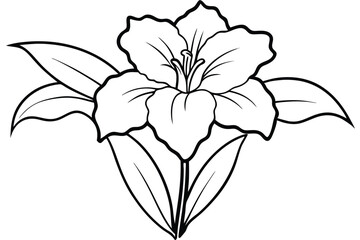 Obraz premium gladiolus silhouette line art vector illustration with a white background
