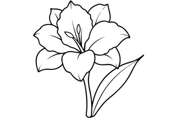 gladiolus silhouette line art vector illustration with a white background
