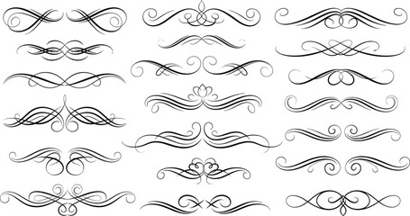 Obraz premium Collection of Elegant Black Swirls and Flourishes on White Background decorative ornament