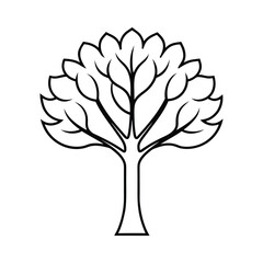 elegant tree line art