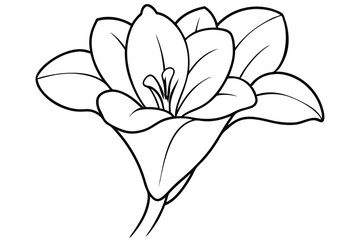 freesia silhouette line art vector illustration with a white background
