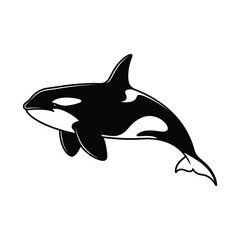 Orca or killer whale vector illustration isolated on white background.