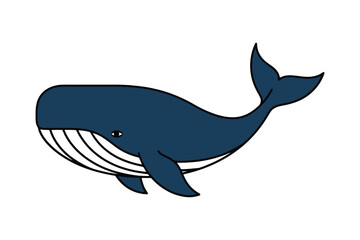 Huge blue whale vector illustration swimming, isolated on white.