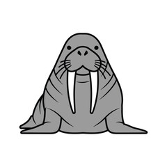Majestic walrus vector illustration, arctic marine mammal mascot isolated on white.