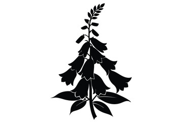 foxglove silhouette line art vector illustration with a white background © pipp99