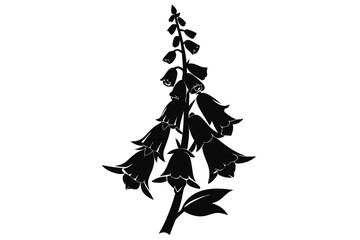 foxglove silhouette line art vector illustration with a white background © pipp99