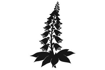 foxglove silhouette line art vector illustration with a white background © pipp99