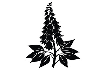 foxglove silhouette line art vector illustration with a white background © pipp99
