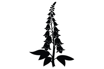 foxglove silhouette line art vector illustration with a white background © pipp99