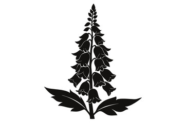 foxglove silhouette line art vector illustration with a white background © pipp99