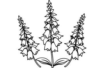 foxglove silhouette line art vector illustration with a white background © pipp99