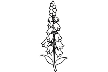 foxglove silhouette line art vector illustration with a white background © pipp99