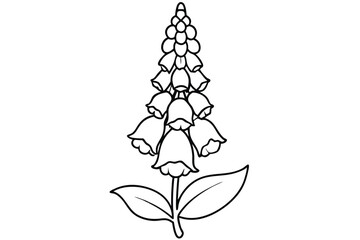 foxglove silhouette line art vector illustration with a white background © pipp99