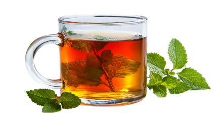 A glass mug of refreshing mint tea with leaves on a white surface isolated on transparent background