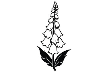 foxglove silhouette line art vector illustration with a white background © pipp99