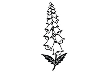 foxglove silhouette line art vector illustration with a white background © pipp99