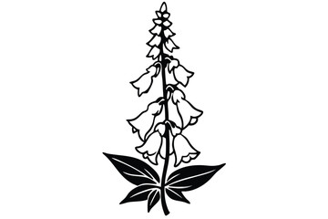 foxglove silhouette line art vector illustration with a white background © pipp99