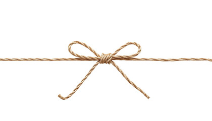 A rope tied with a bow on transparent background