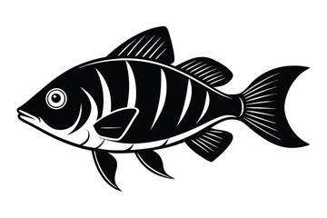 Fototapeta premium cichlid silhouette line art vector illustration with a white background