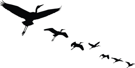 Fototapeta premium Black silhouettes of birds flying in formation bird silhouettes flying birds black and white