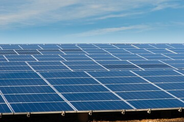 たくさん並んだ太陽光発電用のパネル