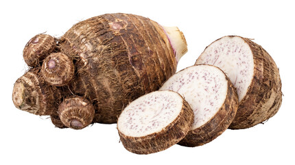 Raw taro root corm with smaller offshoots and thick slices displayed on transparent background