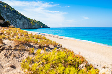 Green plants in sand dune and view of amazing Milos beach, Lefkada island, Greece