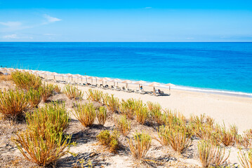 Green plants in sand dune and view of amazing Milos beach, Lefkada island, Greece