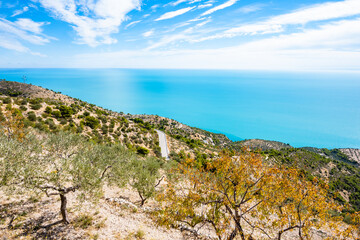 Scenic view of the Adriatic coast with turquoise waters and rolling hills covered in olive trees. Apulia, Italy