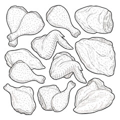 Assorted Raw Chicken Parts Outline Sketch Illustration.