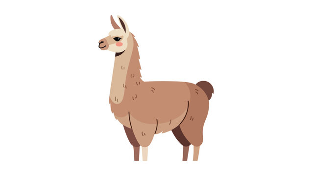 Charming flat design illustration of a friendly brown llama standing gracefully on a white background
