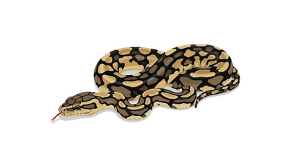 Obraz premium A captivating serpentine creature with intricate natural camouflage patterns slithers elegantly across a pristine white background, showcasing its