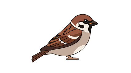 A delightful digital illustration of a brown sparrow, showcasing its distinct brown plumage, bright eye, and charming side profile. Perfect for