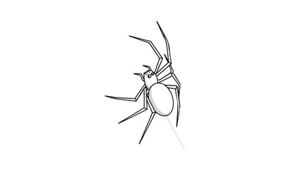 Minimalist black and white line art drawing of a common spider descending on a single silk thread