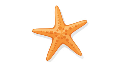 Vibrant orange starfish illustration isolated on a pure white background showcasing marine life