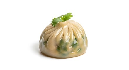 Delicious Steamed Asian Dumpling with Cilantro Garnish.