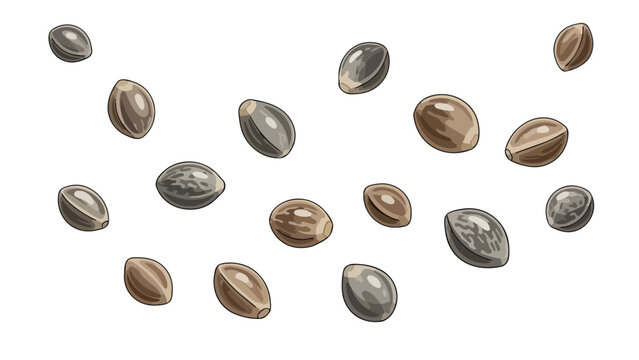 Illustration of organic plant seeds, each rendered with unique textures and subtle earthy tones, scattered aesthetically on a clean white background