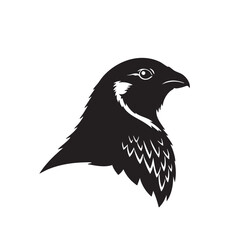 Obraz premium Falcon silhouette vector icon on white background 