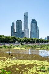 Buenos Aires Ecological Reserve in Front of High-Rise Modern Buildings