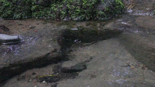Natural freshwater flowing from a water source in an outdoor environmentsustainability, water resource, hydration, cle