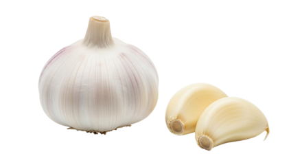 A whole garlic bulb and two cloves on transparent background
