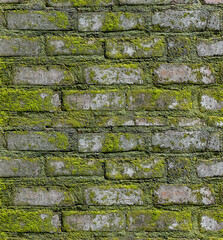 moss brick wall texture background