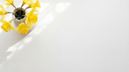 Minimalist spring flowers narcissus on white table top view for professional slide banner 4k