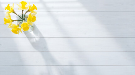 Spring yellow daffodils on white wooden background with copy space for business presentation 4k