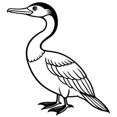Flying Cormorant Illustration
