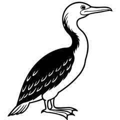 Flying Cormorant Illustration