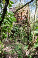 Fototapeta premium Makatea Island – Rugged Raised Atoll of French Polynesia