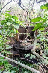 Makatea Island &ndash; Rugged Raised Atoll of French Polynesia